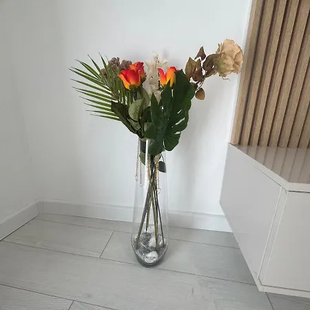 Estrella Studio- Mihai Bravu *