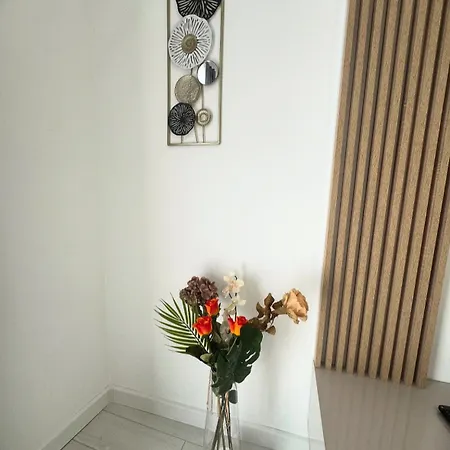 Estrella Studio- Mihai Bravu Apartment