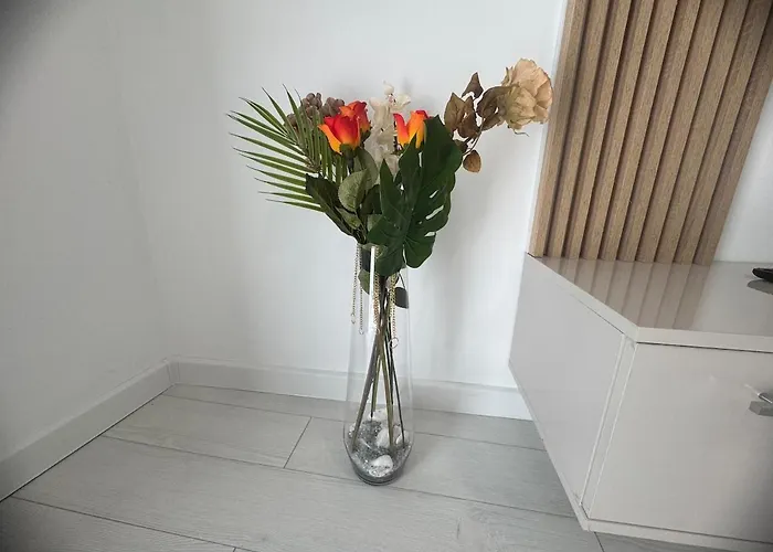 Estrella Studio- Mihai Bravu *